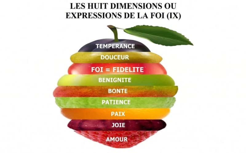 LES HUIT DIMENSIONS OU EXPRESSIONS DE LA FOI (part 9)